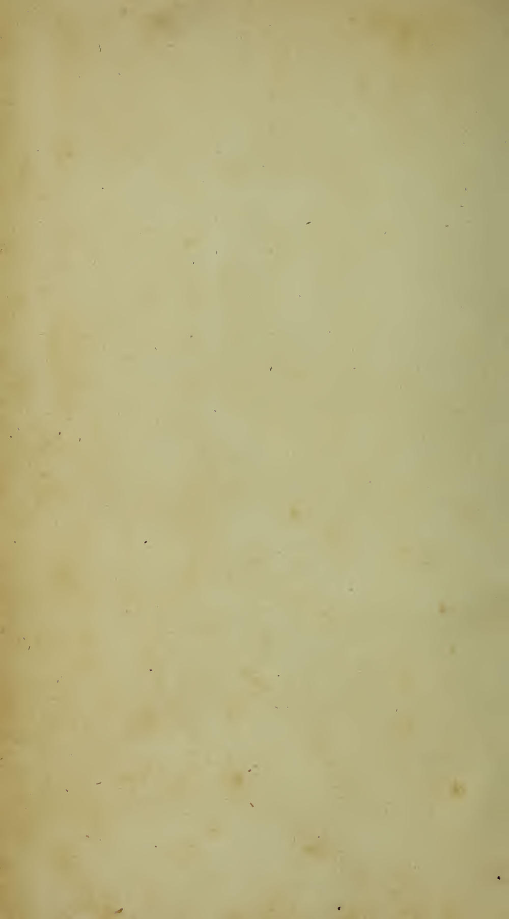 Image of page -3